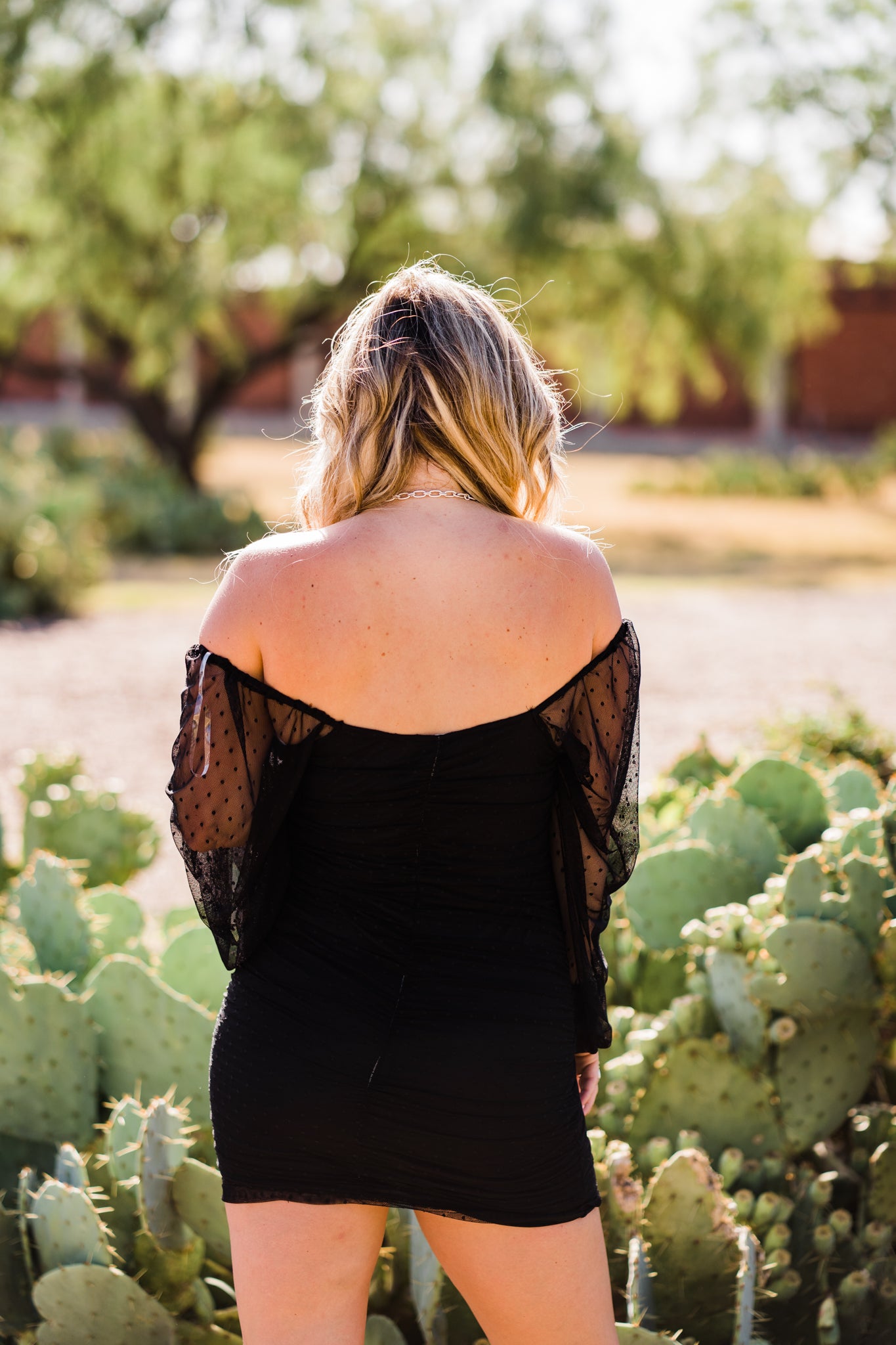 Sweet Finesse Dot Mesh Dress - Middle West Apparel