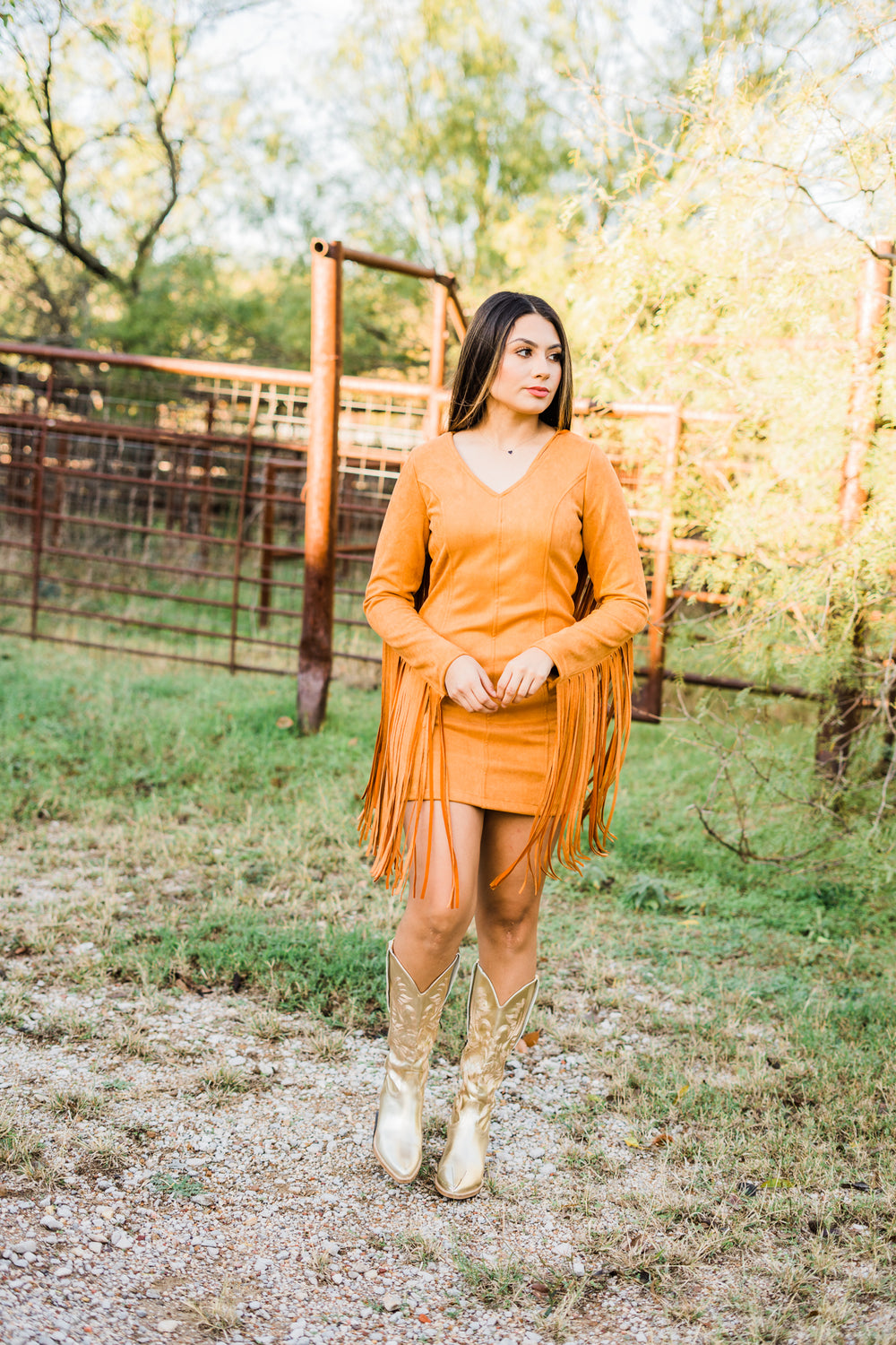 Thing Of Beauty Fringe Dress - Middle West Apparel